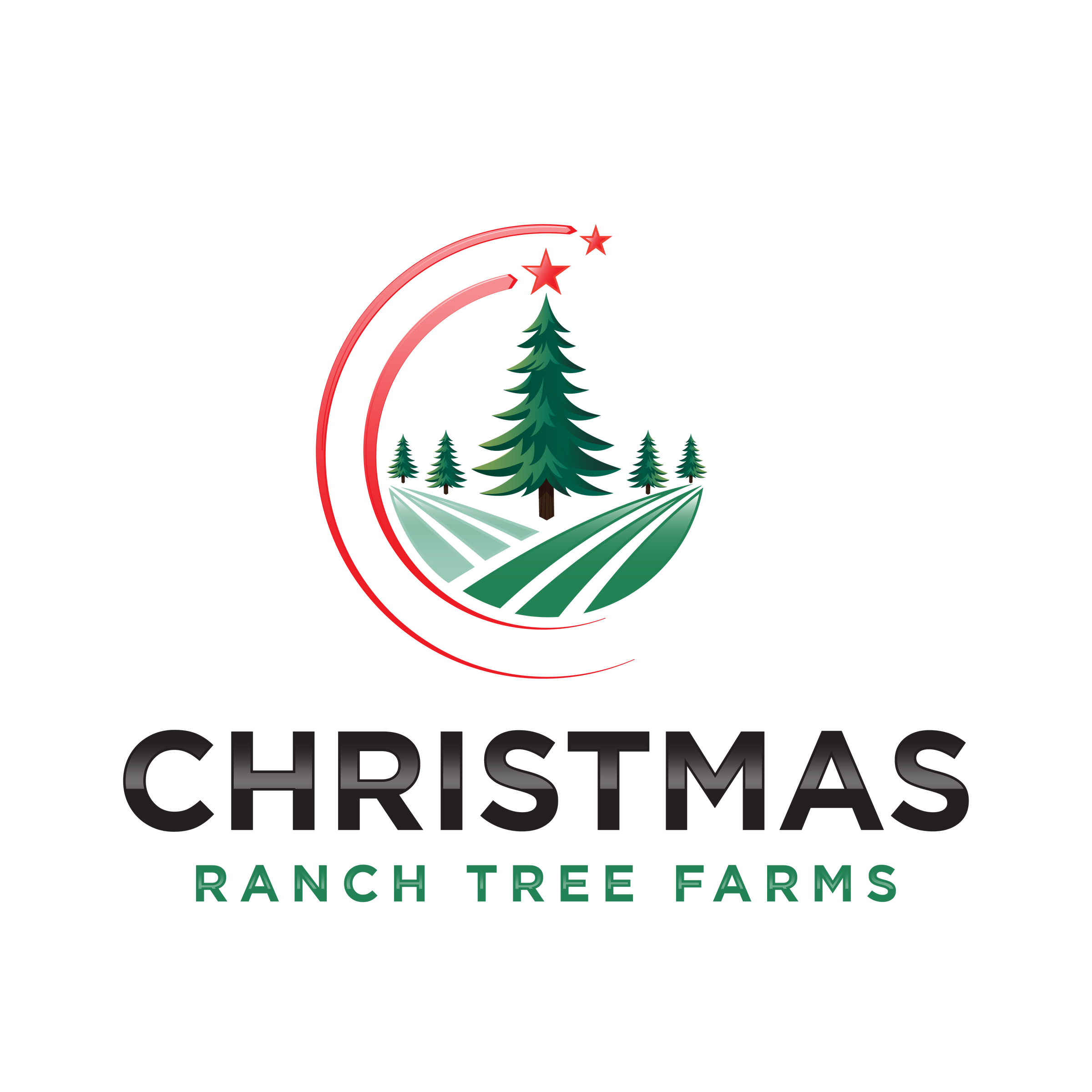Order Christmas Trees Online Christmas Ranch Tree Farms